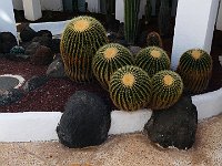 Foto 056